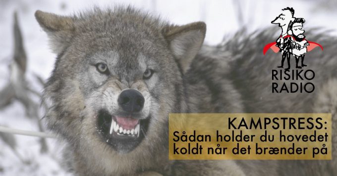 risikohåndtering